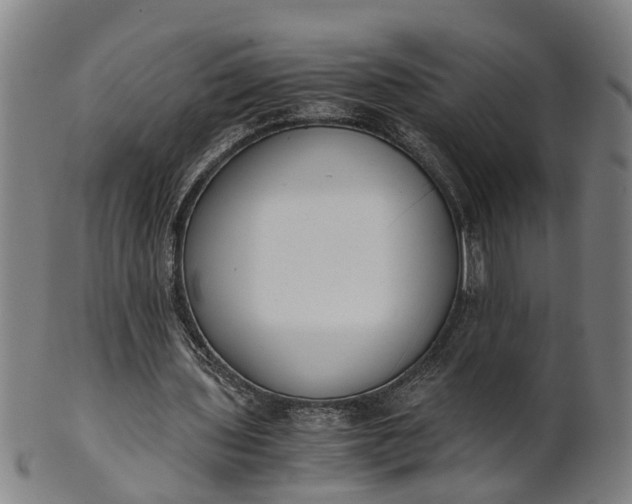 X0000101660435200807241421