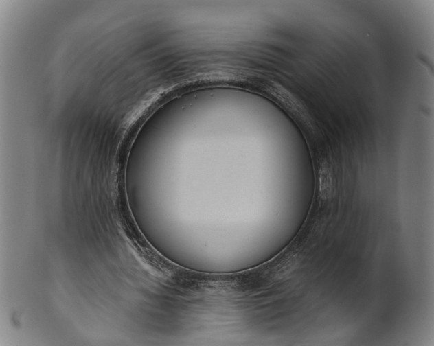 X0000101660436200807241421