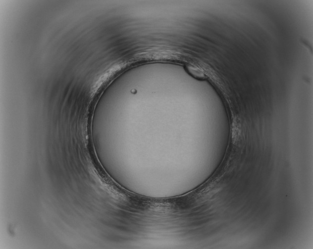 X0000101660438200807241421