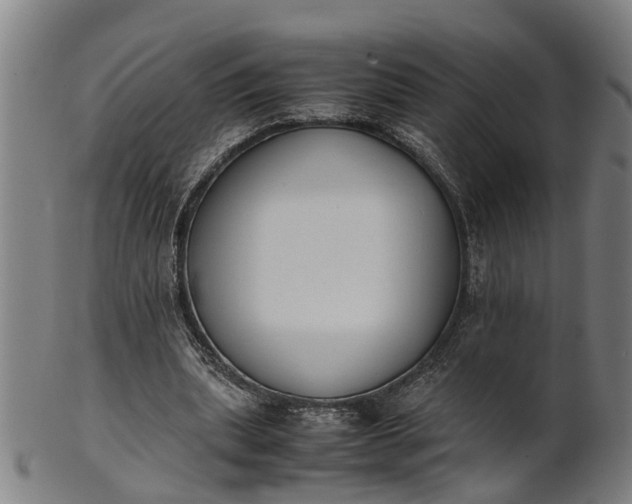 X0000101660439200807241421