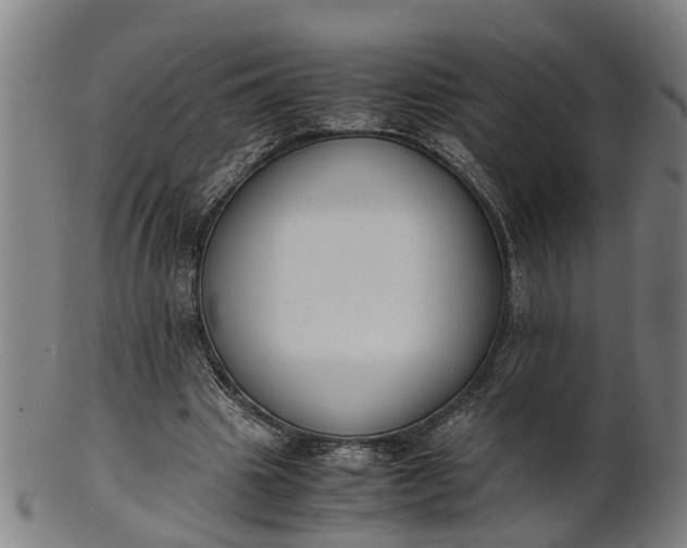 X0000101660441200807241421