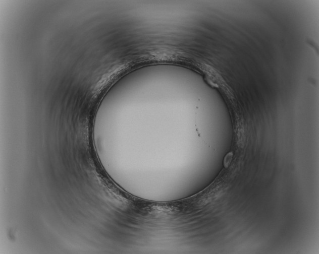 X0000101660442200807241421