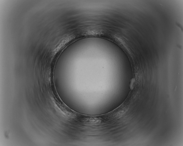 X0000101660443200807241421