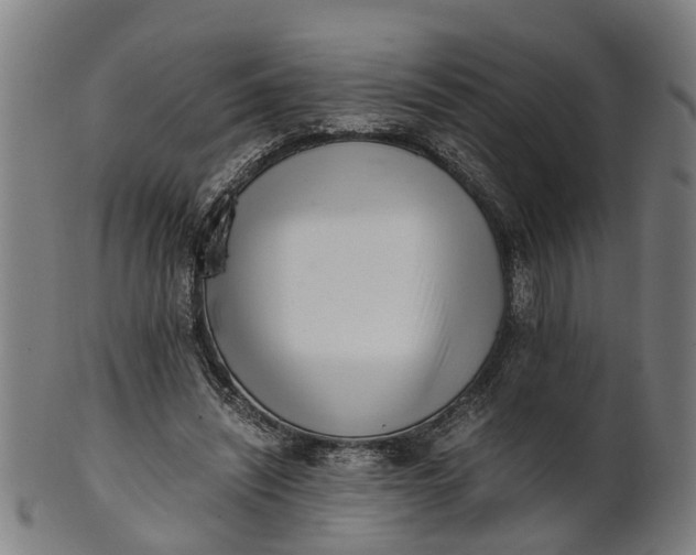 X0000101660444200807241421