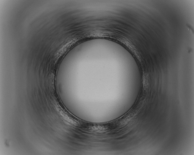 X0000101660445200807241421