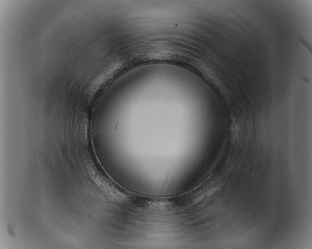 X0000101660446200807241421