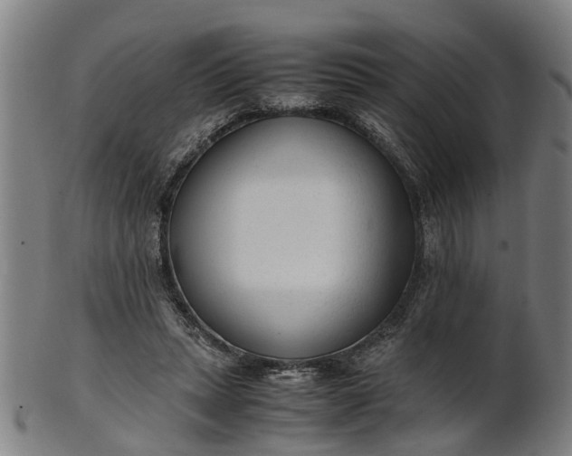 X0000101660447200807241421