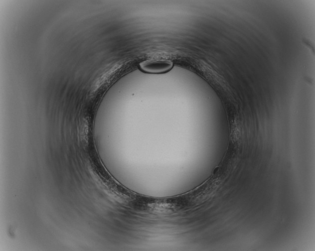 X0000101660448200807241421