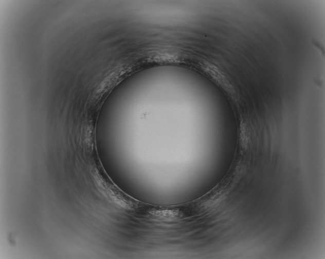 X0000101660449200807241421