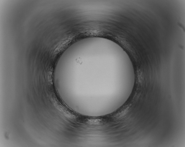 X0000101660450200807241421