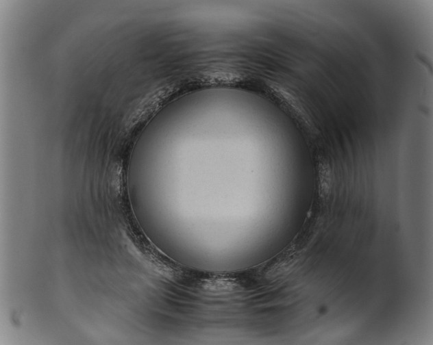 X0000101660451200807241421