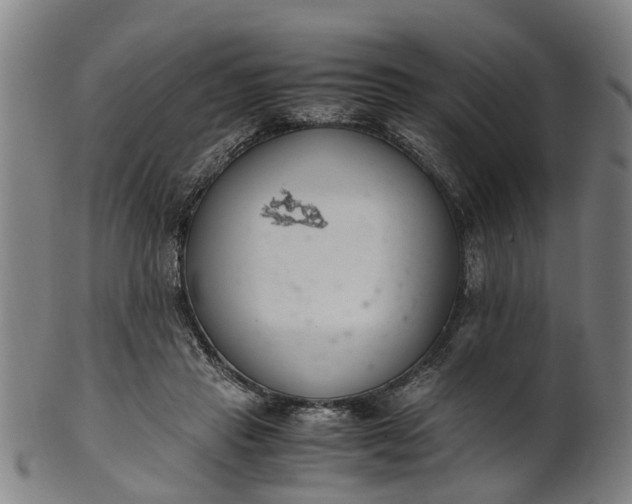 X0000101660453200807241421