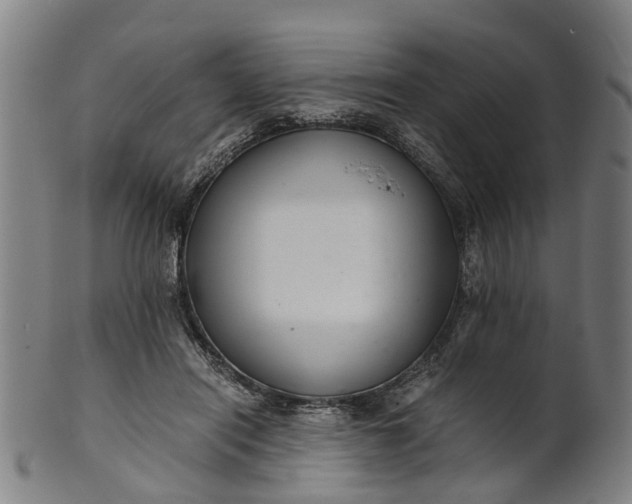 X0000101660454200807241421