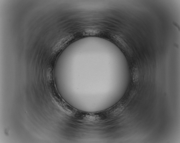 X0000101660455200807241421