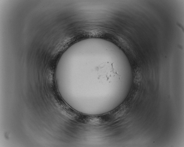 X0000101660456200807241421