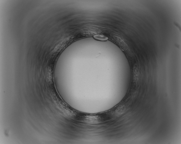 X0000101660457200807241421