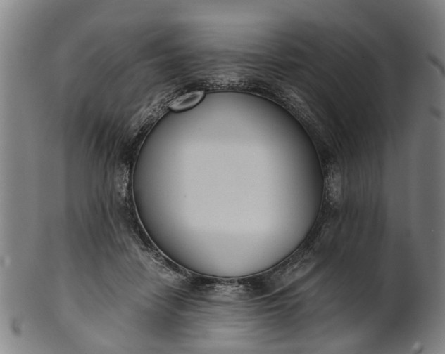 X0000101660458200807241421