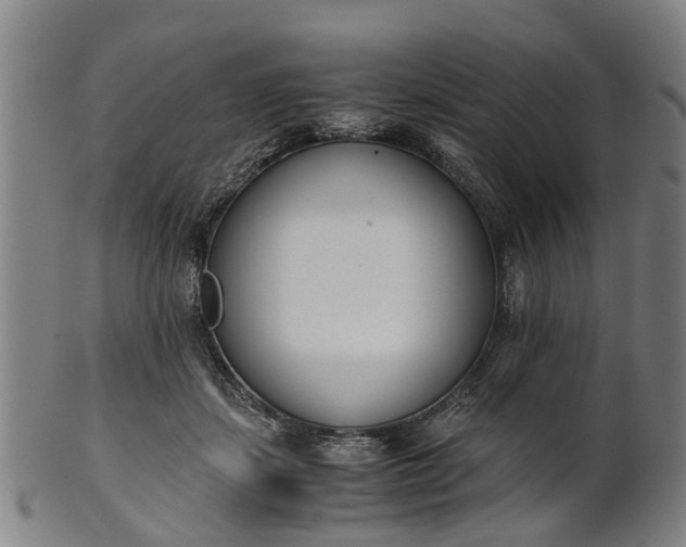 X0000101660459200807241421