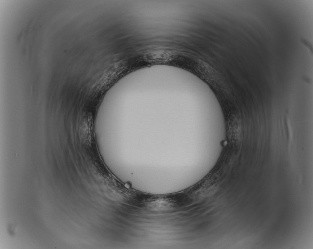 X0000101660460200807241421