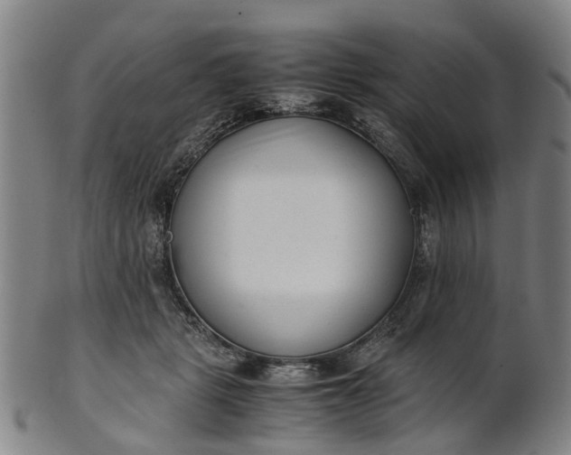 X0000101660461200807241421