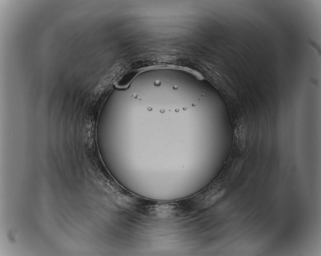 X0000101660462200807241421