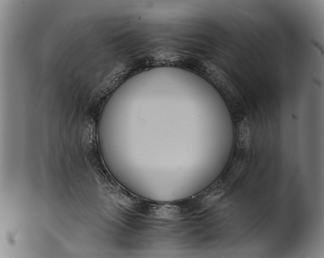 X0000101660463200807241421