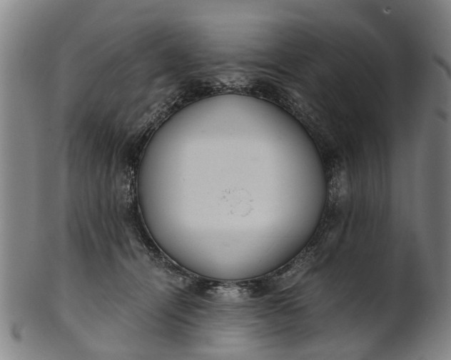 X0000101660464200807241421