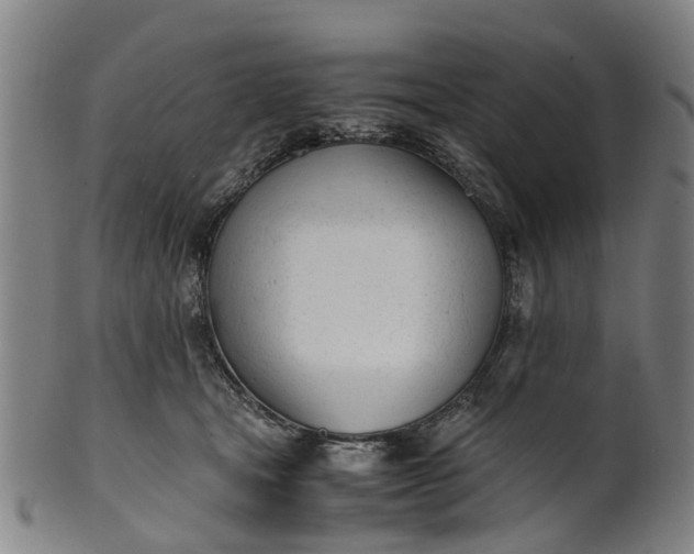 X0000101660465200807241421