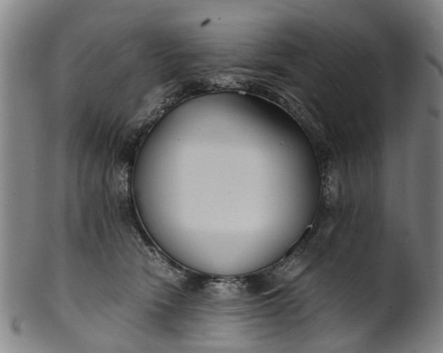 X0000101660466200807241421