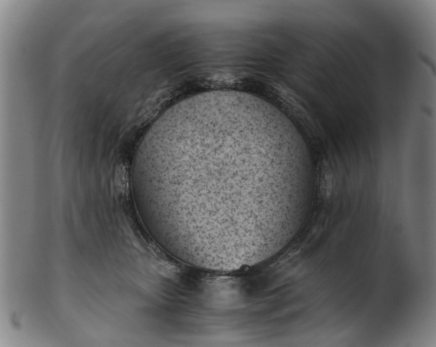 X0000101660467200807241421