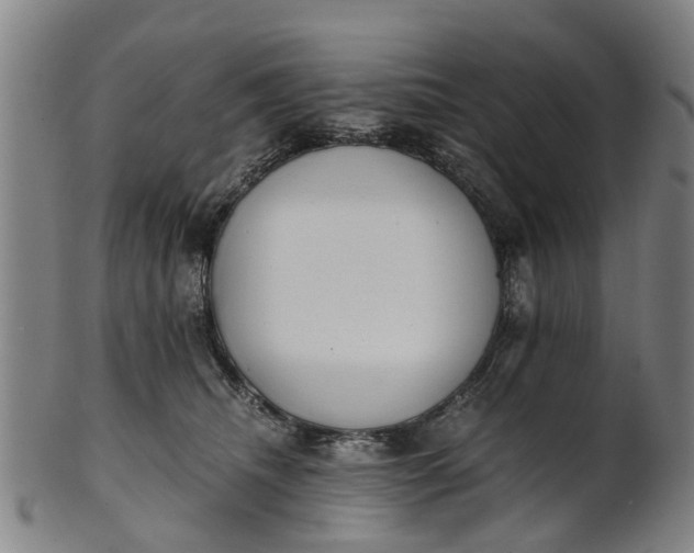 X0000101660468200807241421