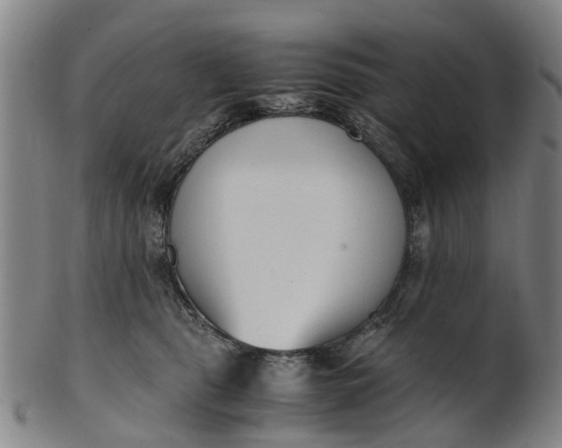 X0000101660469200807241421