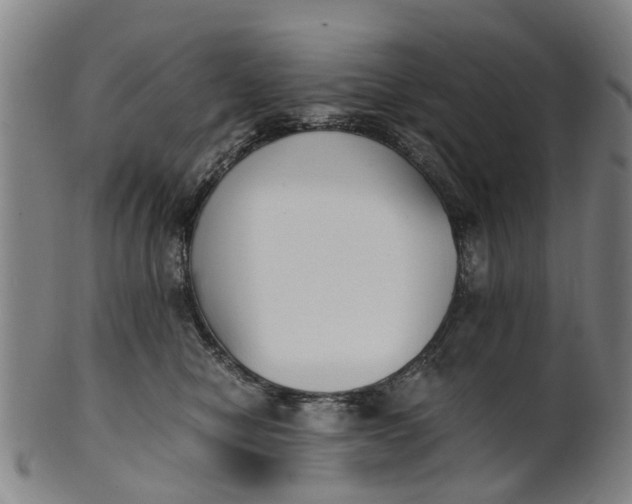 X0000101660470200807241422