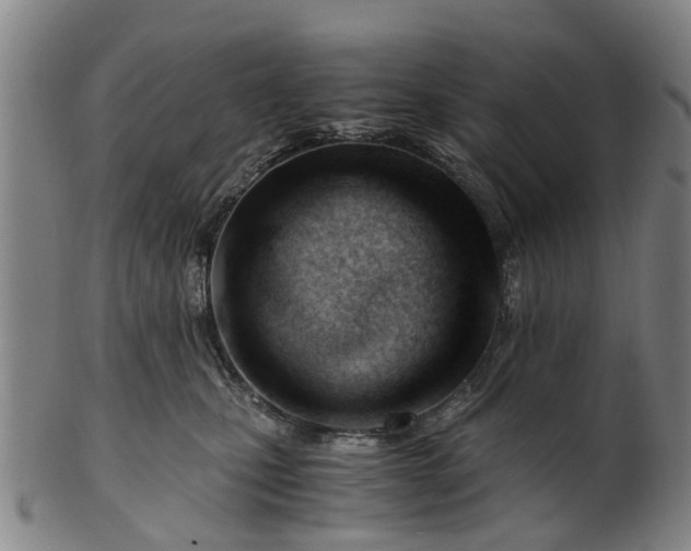 X0000101660471200807241422