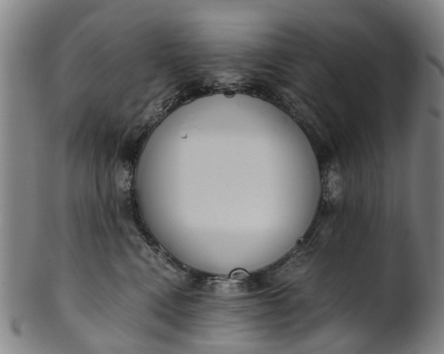 X0000101660472200807241422