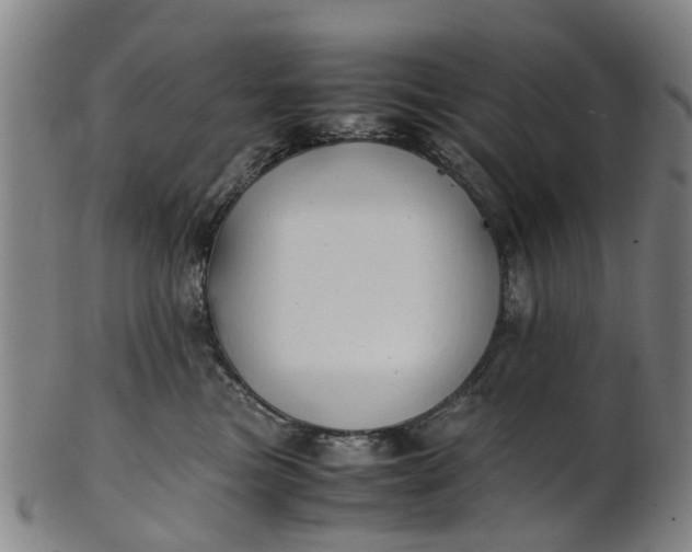 X0000101660473200807241422