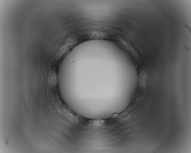 X0000101660474200807241422