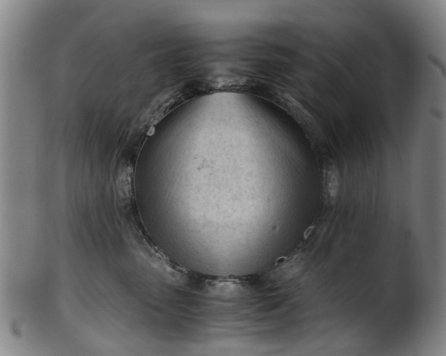 X0000101660475200807241422