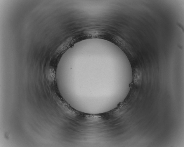 X0000101660476200807241422