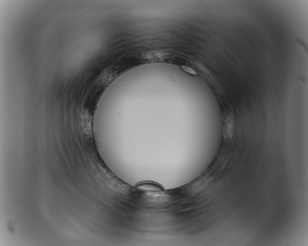 X0000101660477200807241422