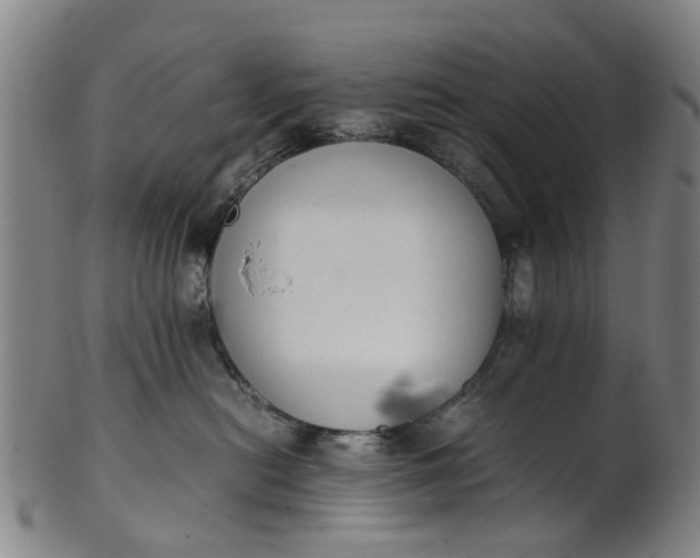 X0000101660478200807241422