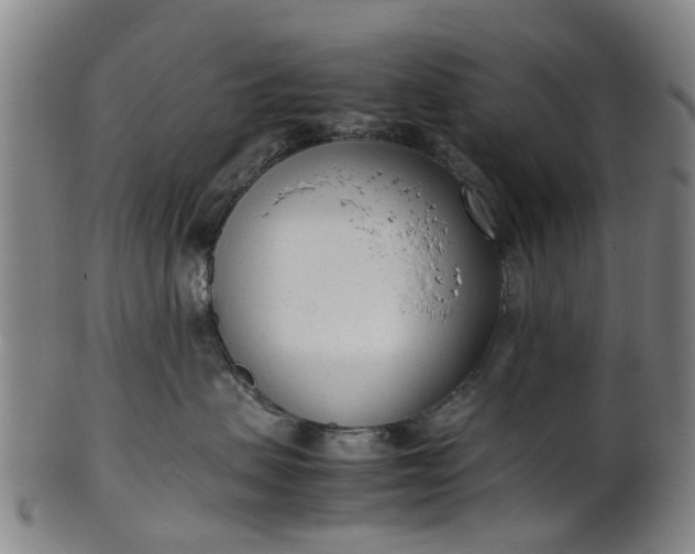 X0000101660479200807241422