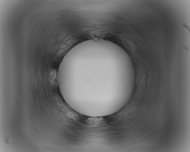 X0000101660480200807241422