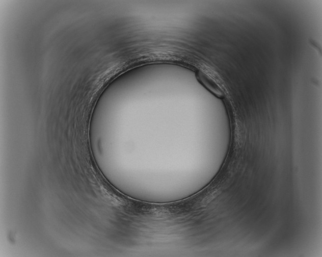 X0000101660481200807241421