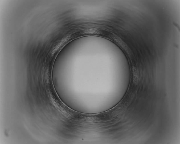 X0000101660482200807241421