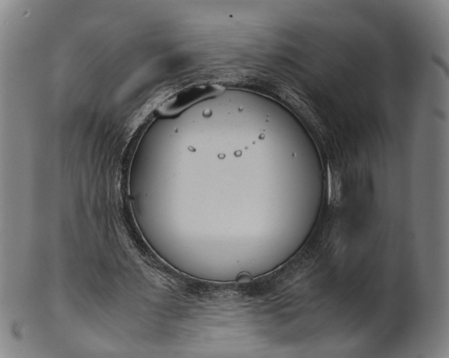 X0000101660483200807241421