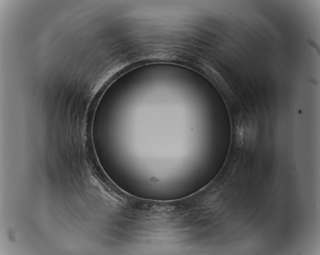 X0000101660484200807241421