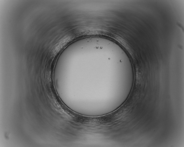 X0000101660485200807241421