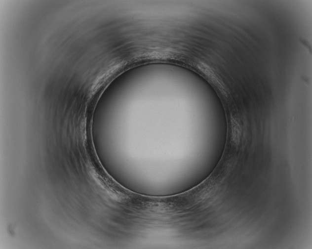 X0000101660486200807241421