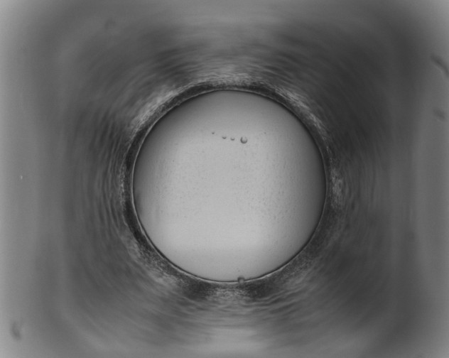 X0000101660487200807241421